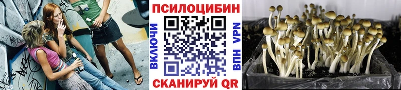 Галлюциногенные грибы прущие грибы  Купить  Долинск 